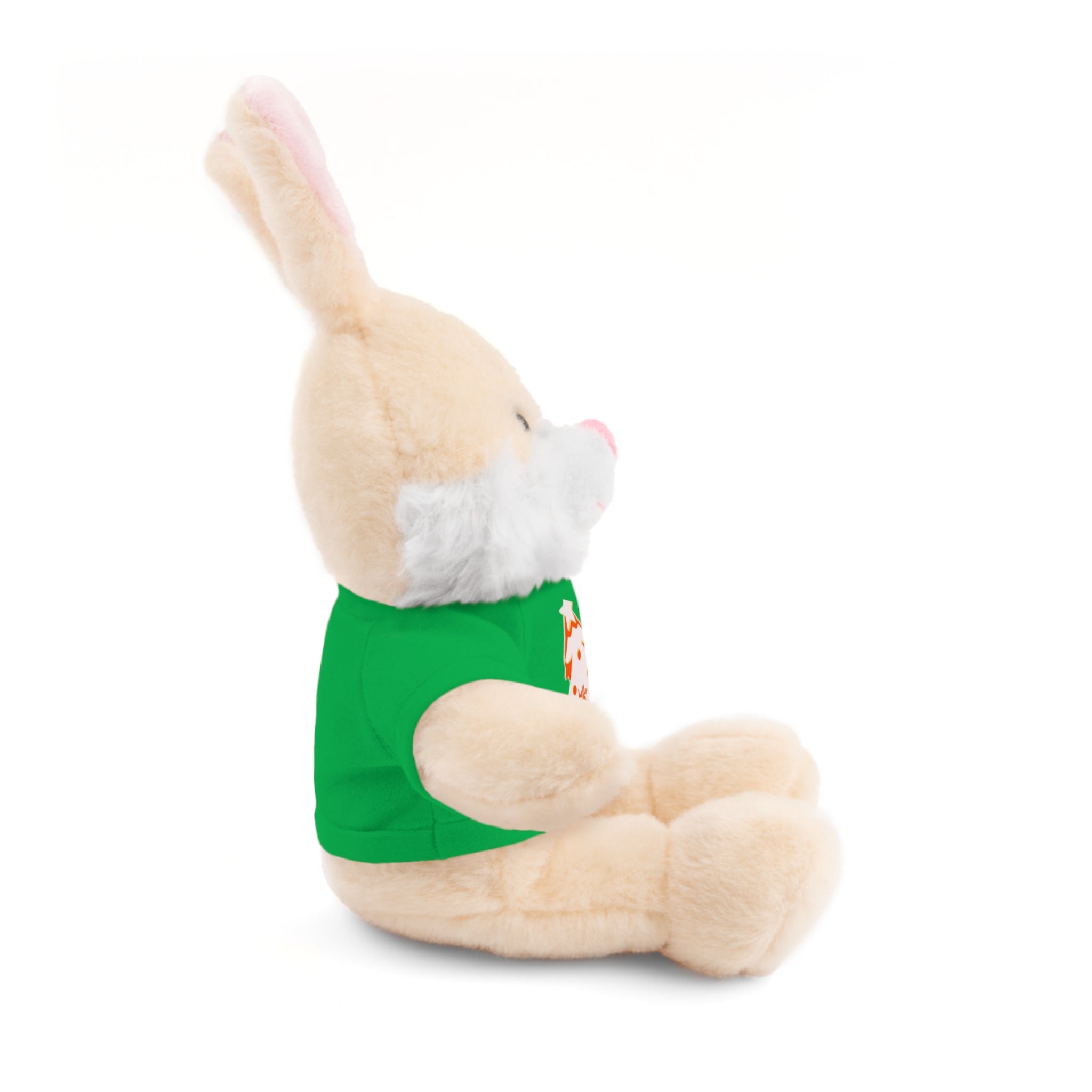 Stuffed Teddy Printify
