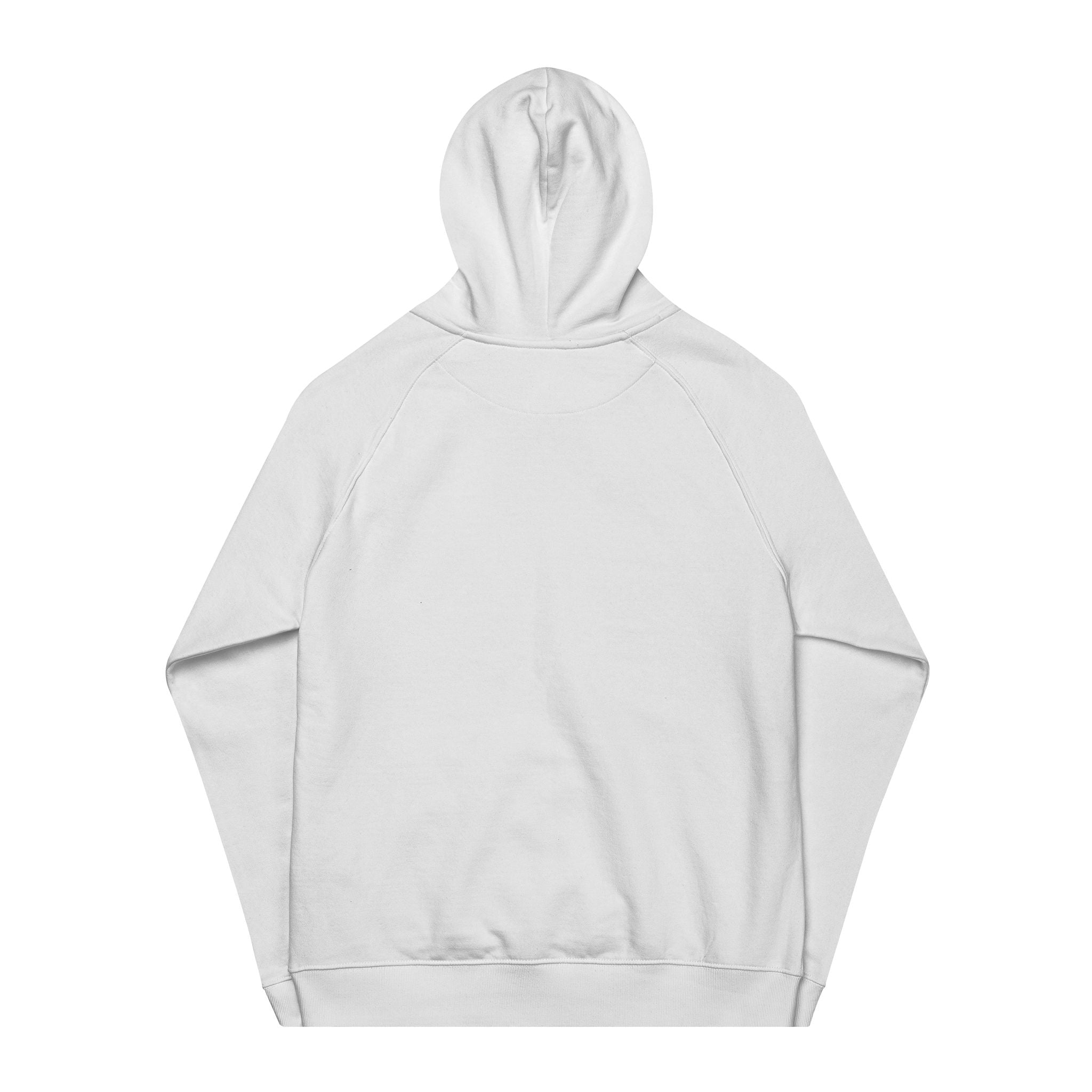 Eco-Friendly Raglan Hoodie (Plain)