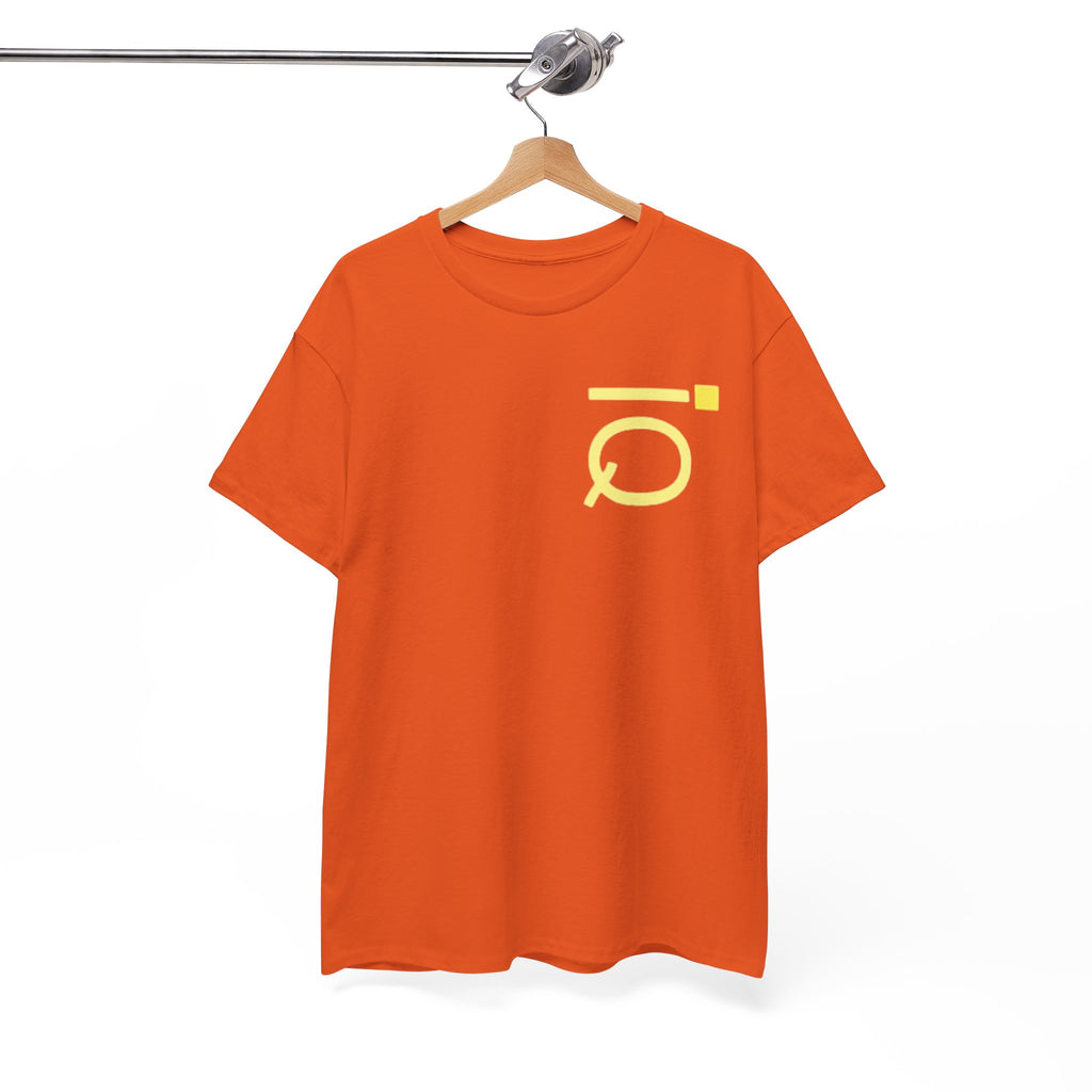 Unisex Heavy Cotton iQTee