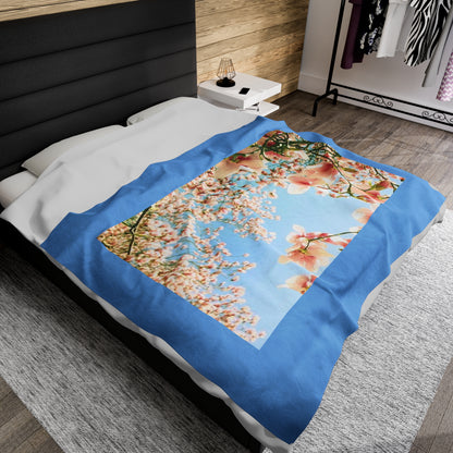 Velveteen Plush Blanket