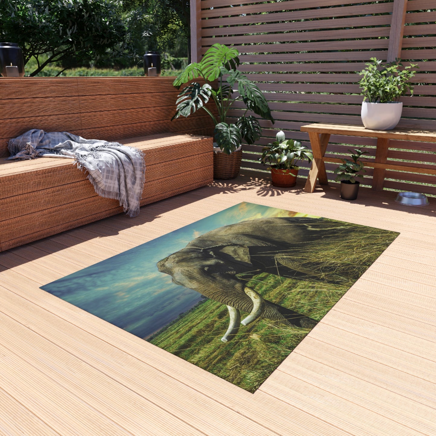 Outdoor Rug