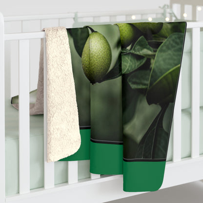 Sherpa Fleece Blanket