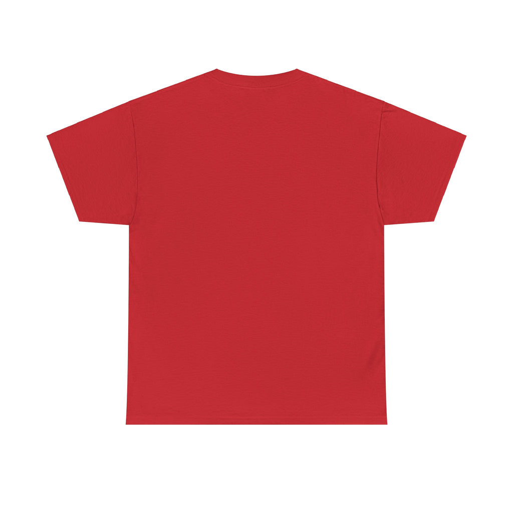 Unisex Heavy Cotton laundry Tee