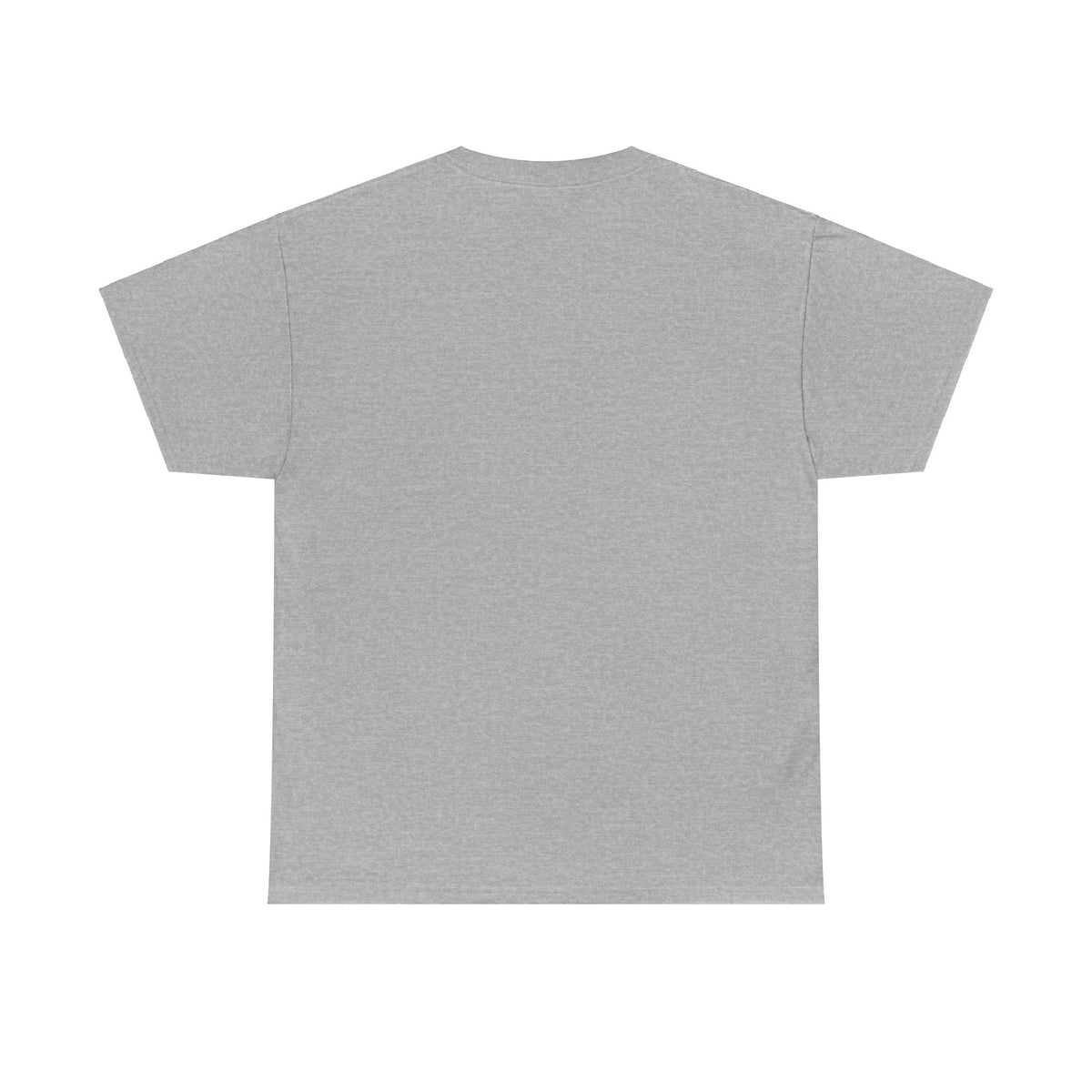 Unisex Heavy Cotton laundry Tee