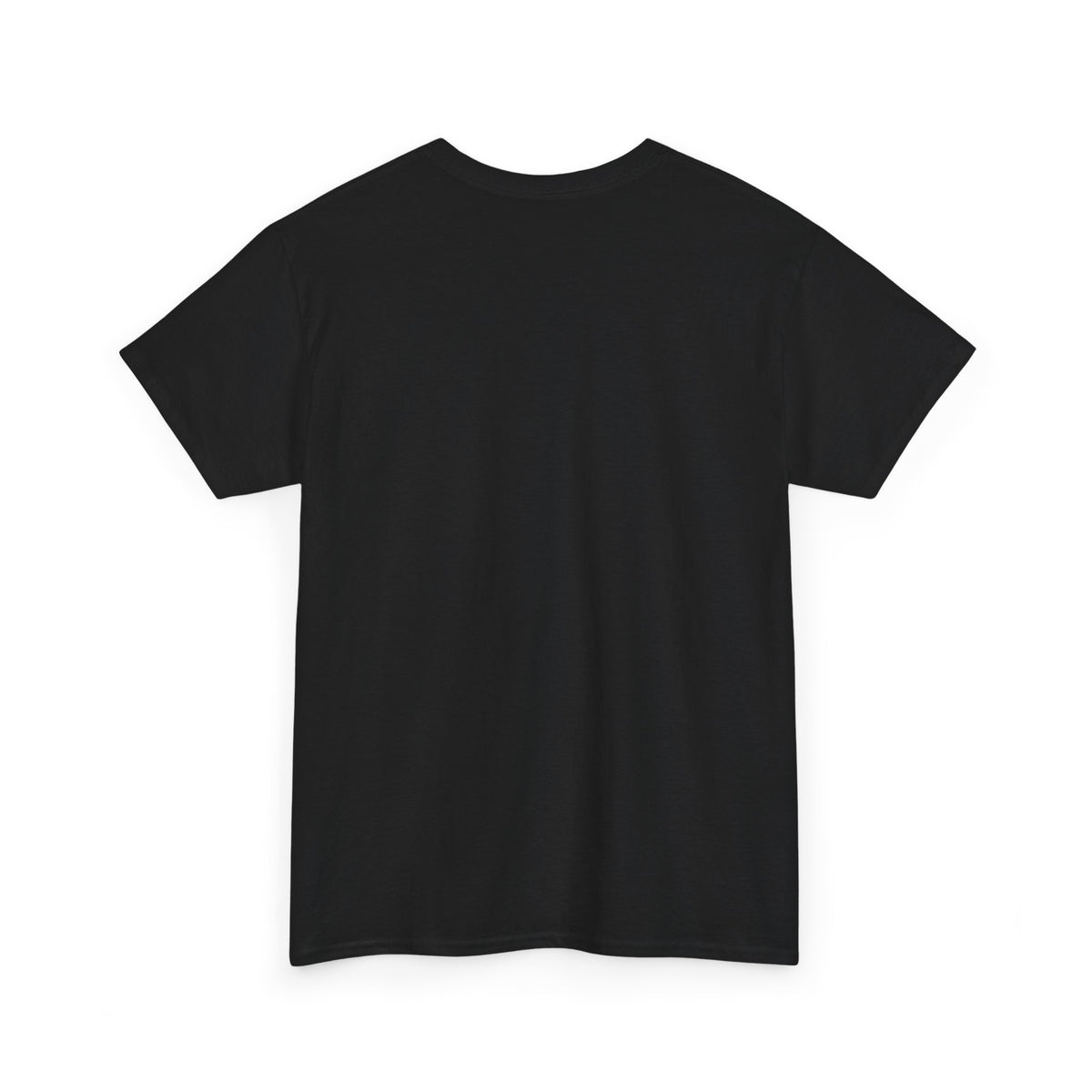 Unisex Heavy Cotton laundry Tee