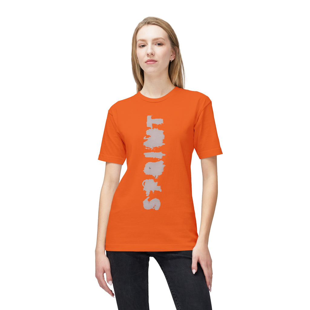 Unisex Midweight T-shirt, Made in US