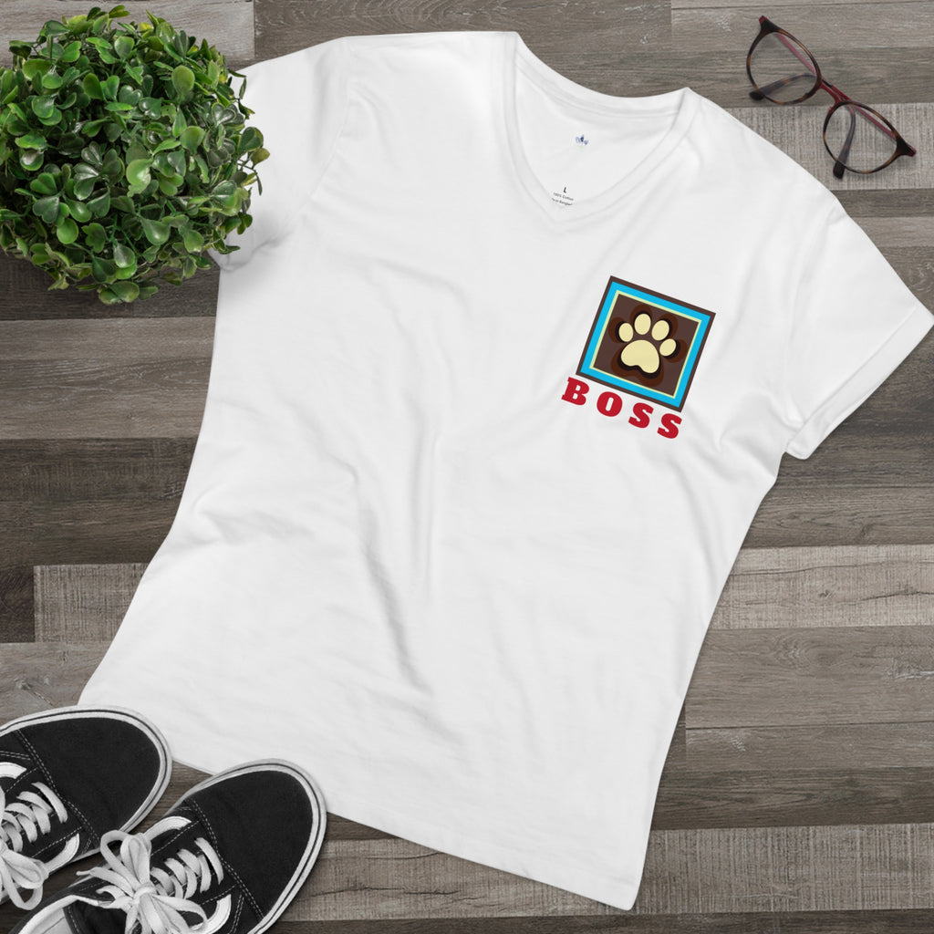 Men’s Presenter V-neck