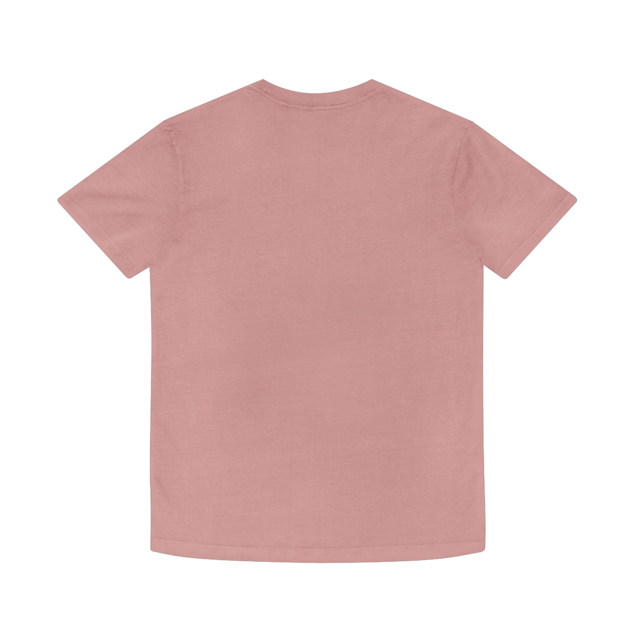 Sterne Faded Shirt - Vintage Style Unisex Tee