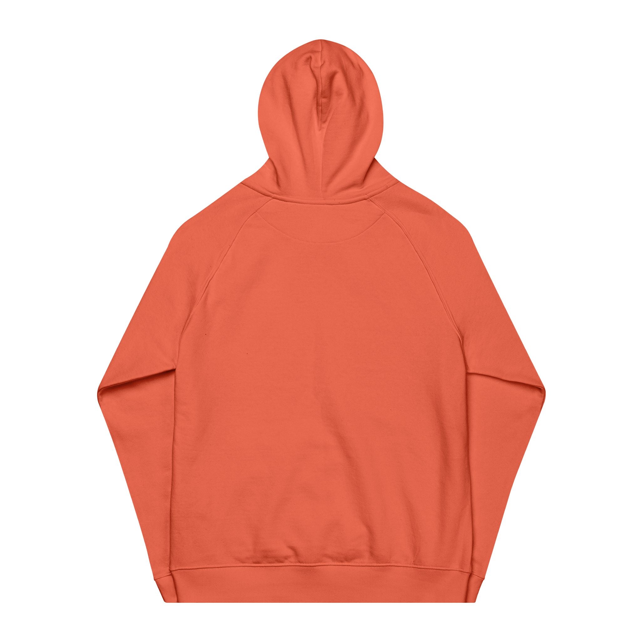 Eco-Friendly Raglan Hoodie (Plain)