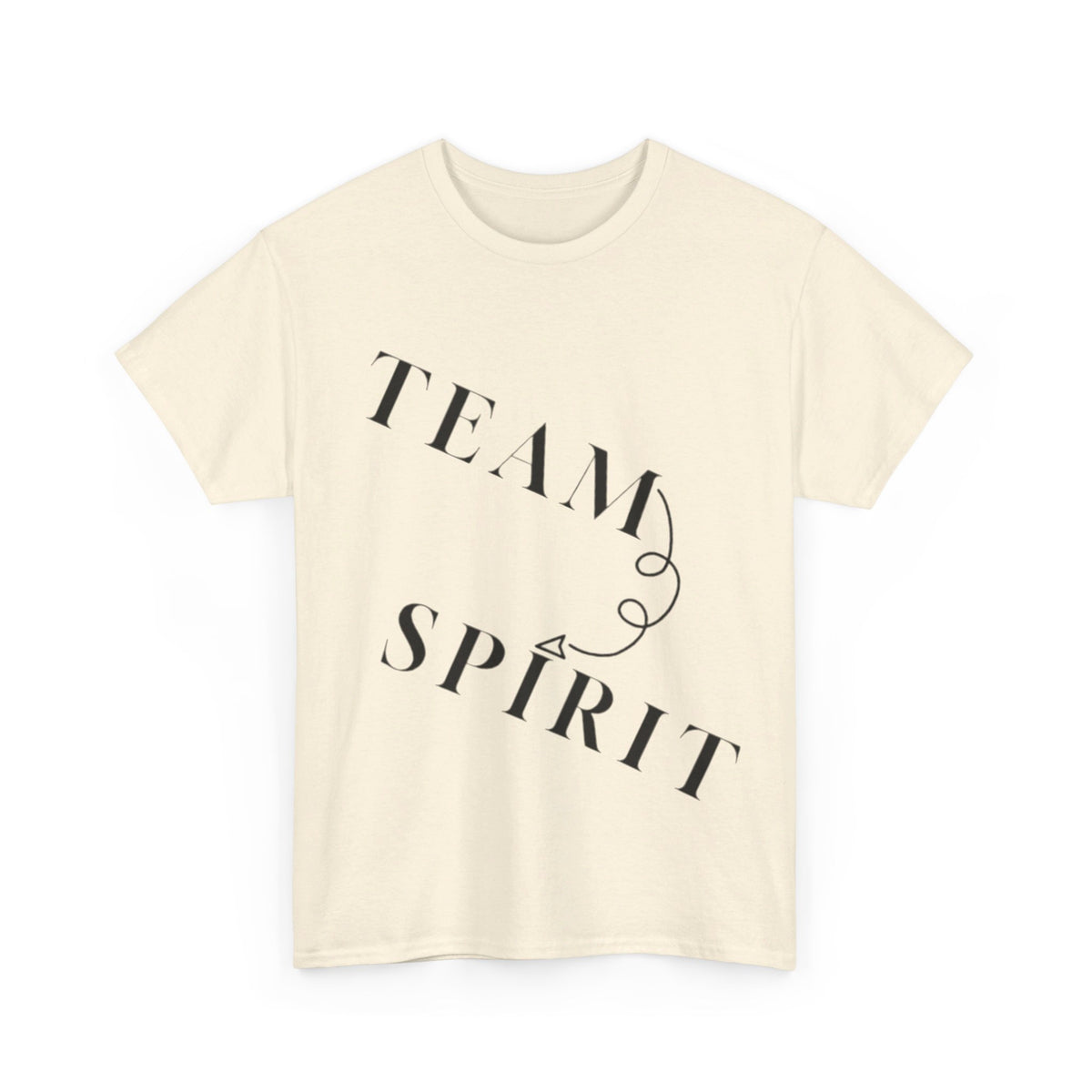 RCNSONS Unisex Heavy Cotton SPIRIT Tee