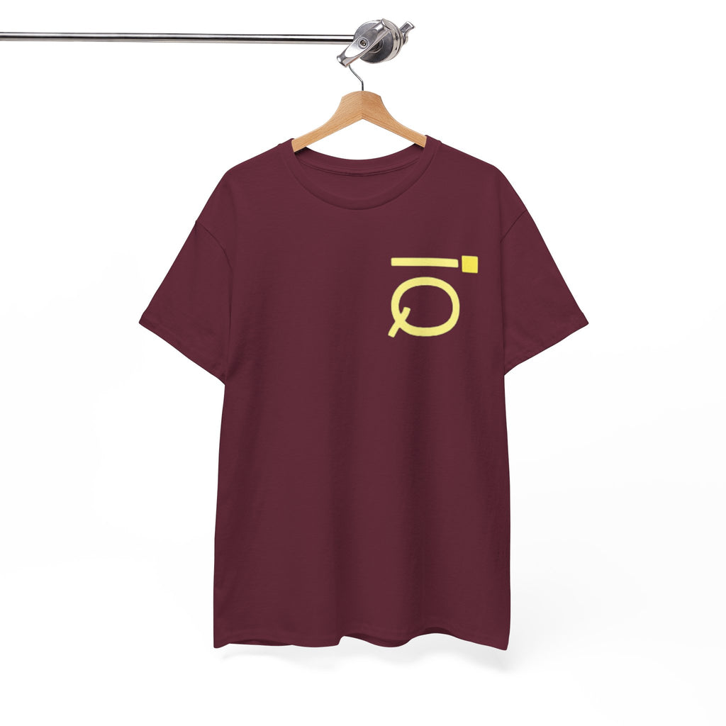 Unisex Heavy Cotton iQTee