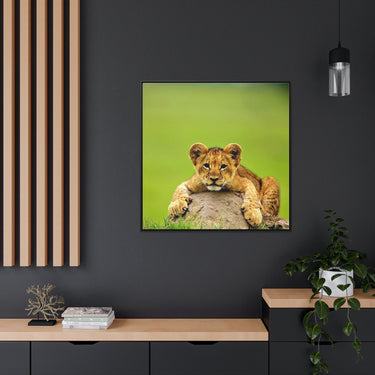 Gallery Canvas Wraps, Square Frame