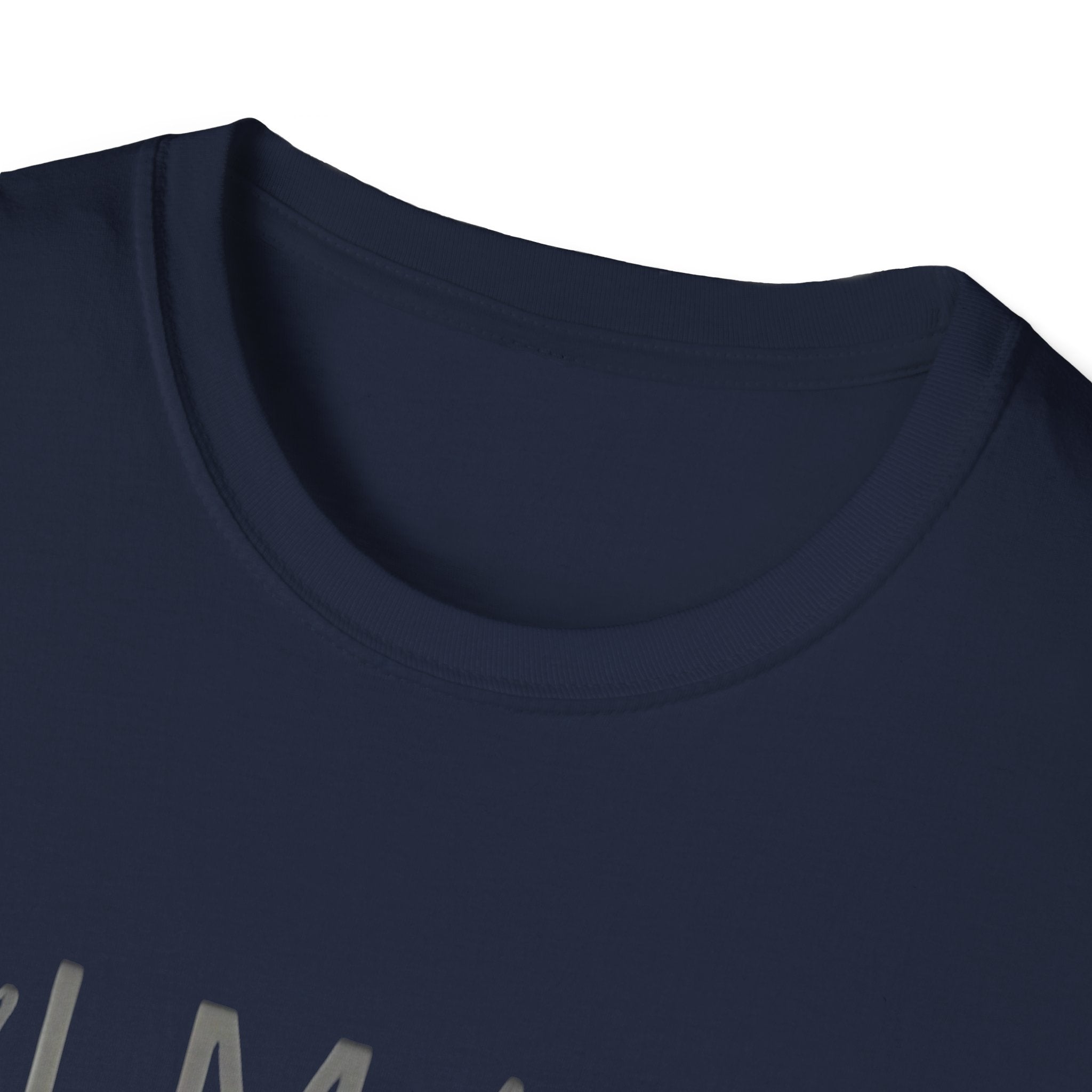 Unisex Softstyle  Pamares T-Shirt