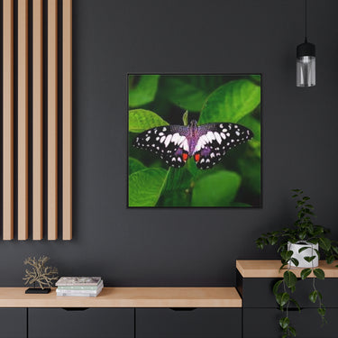 Gallery Canvas Wraps, Square Frame