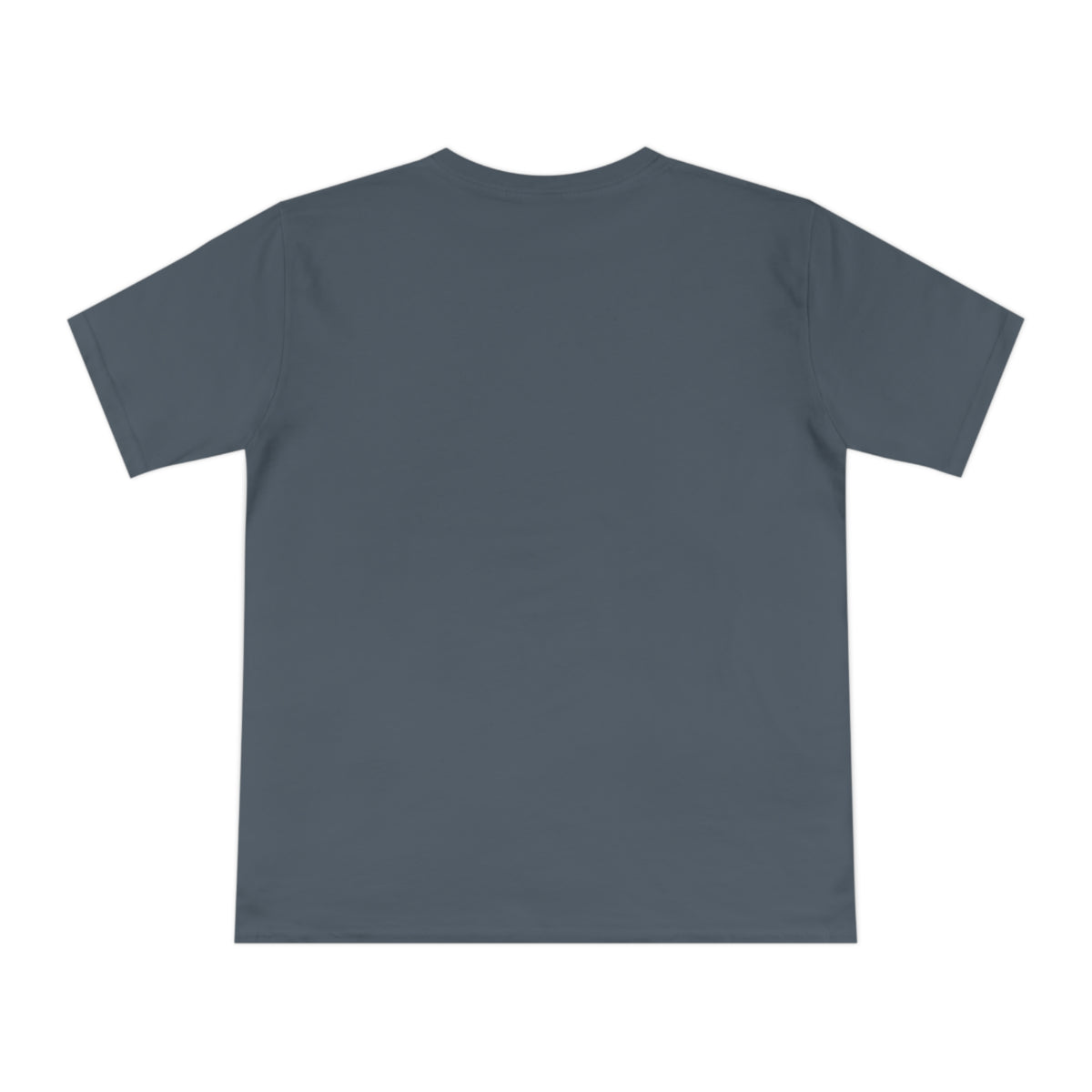 Unisex Classic Jersey T-shirt