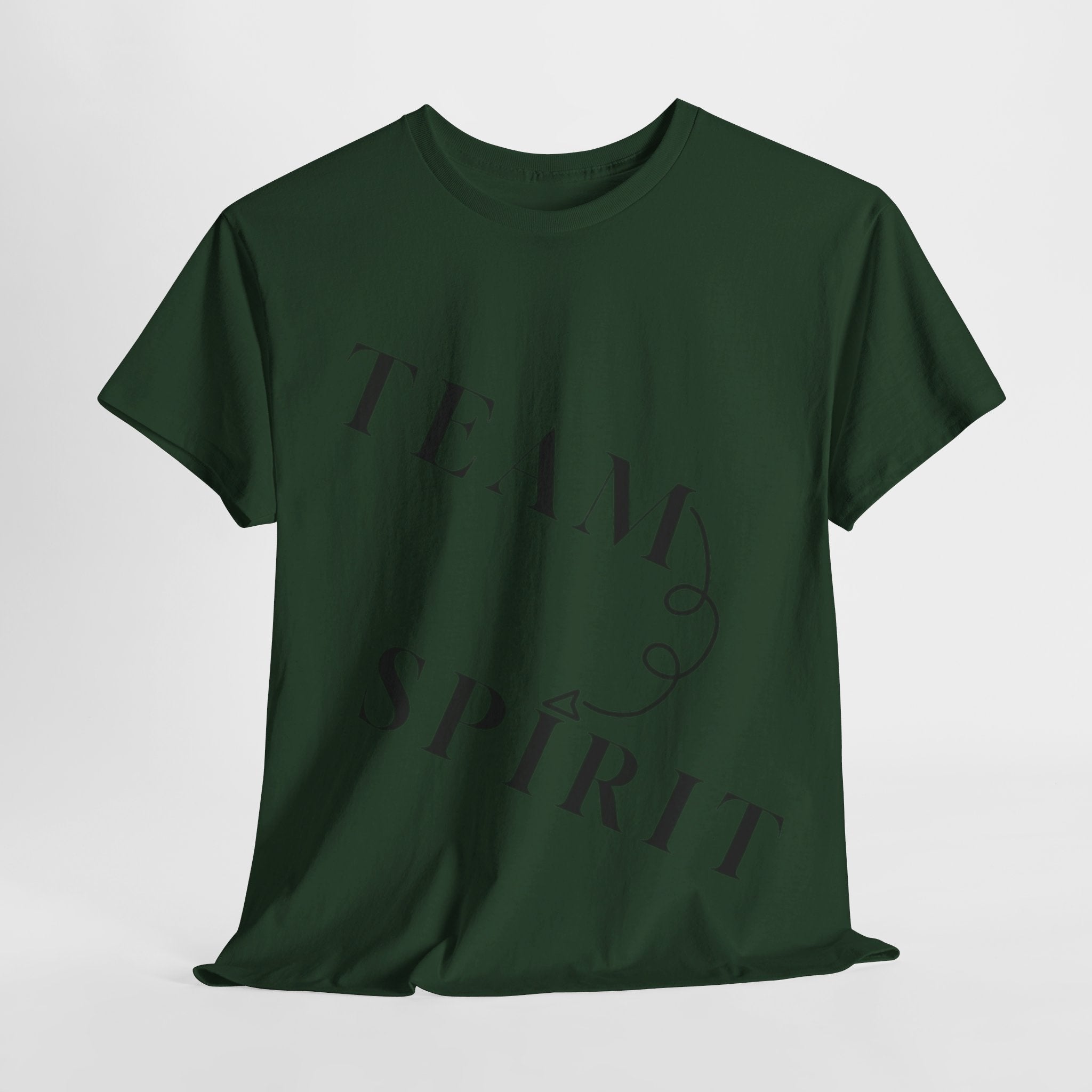 RCNSONS Unisex Heavy Cotton SPIRIT Tee