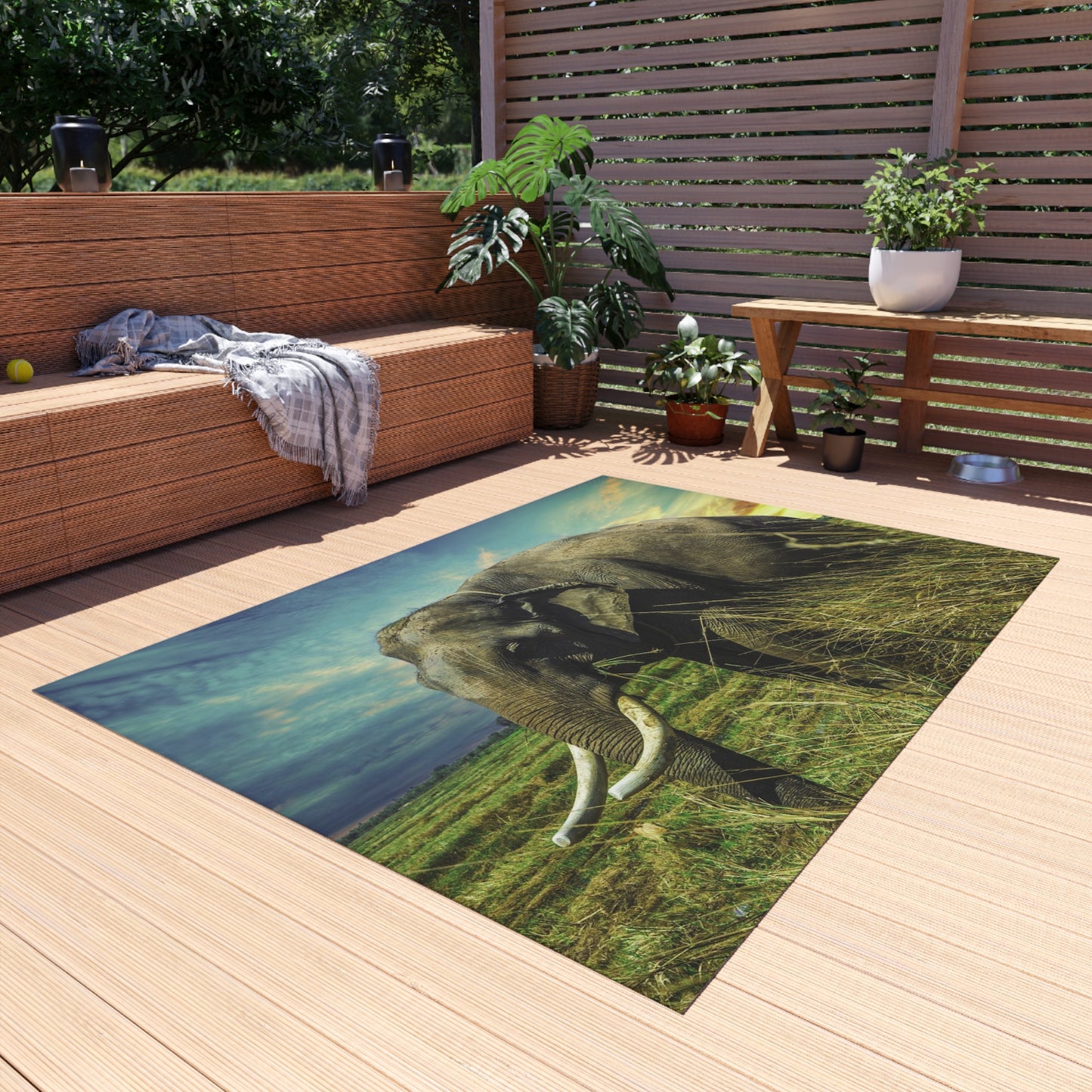Outdoor Rug