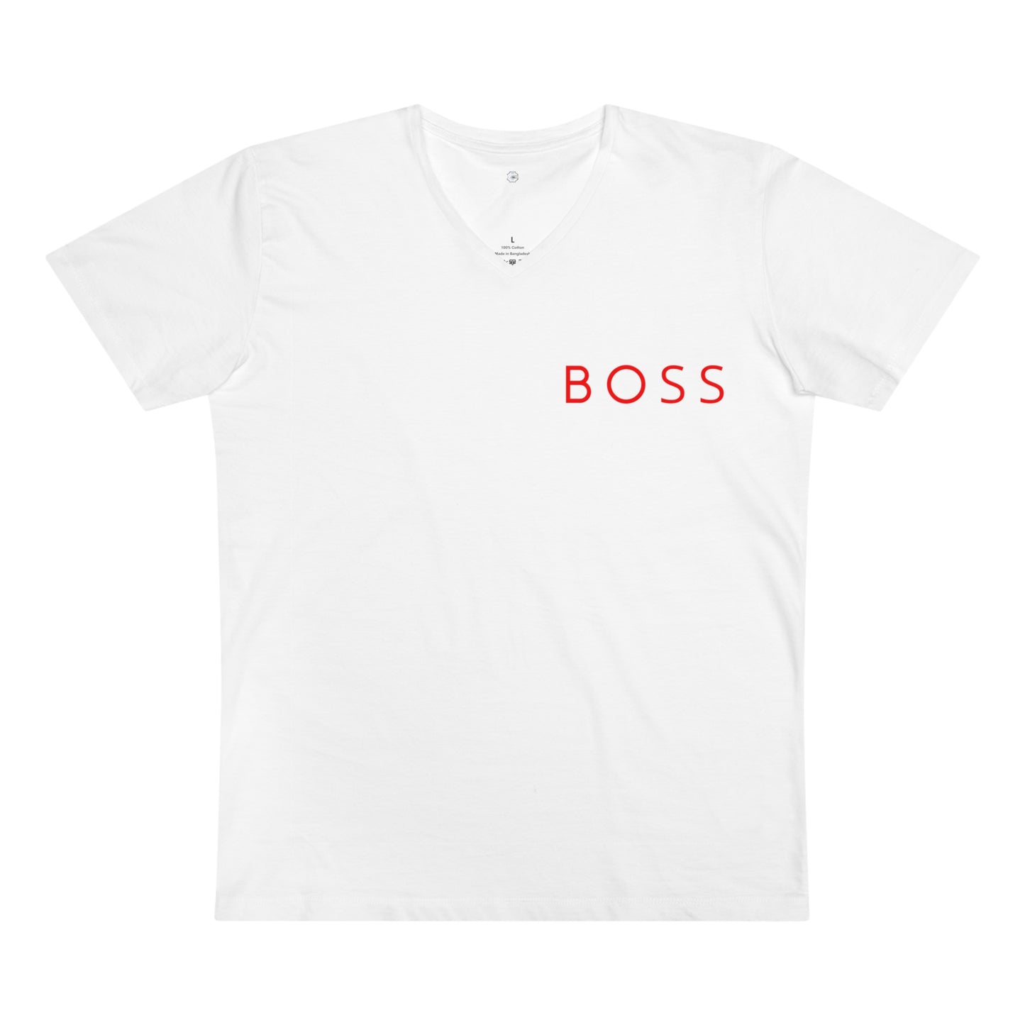 Men’s Presenter V-neck