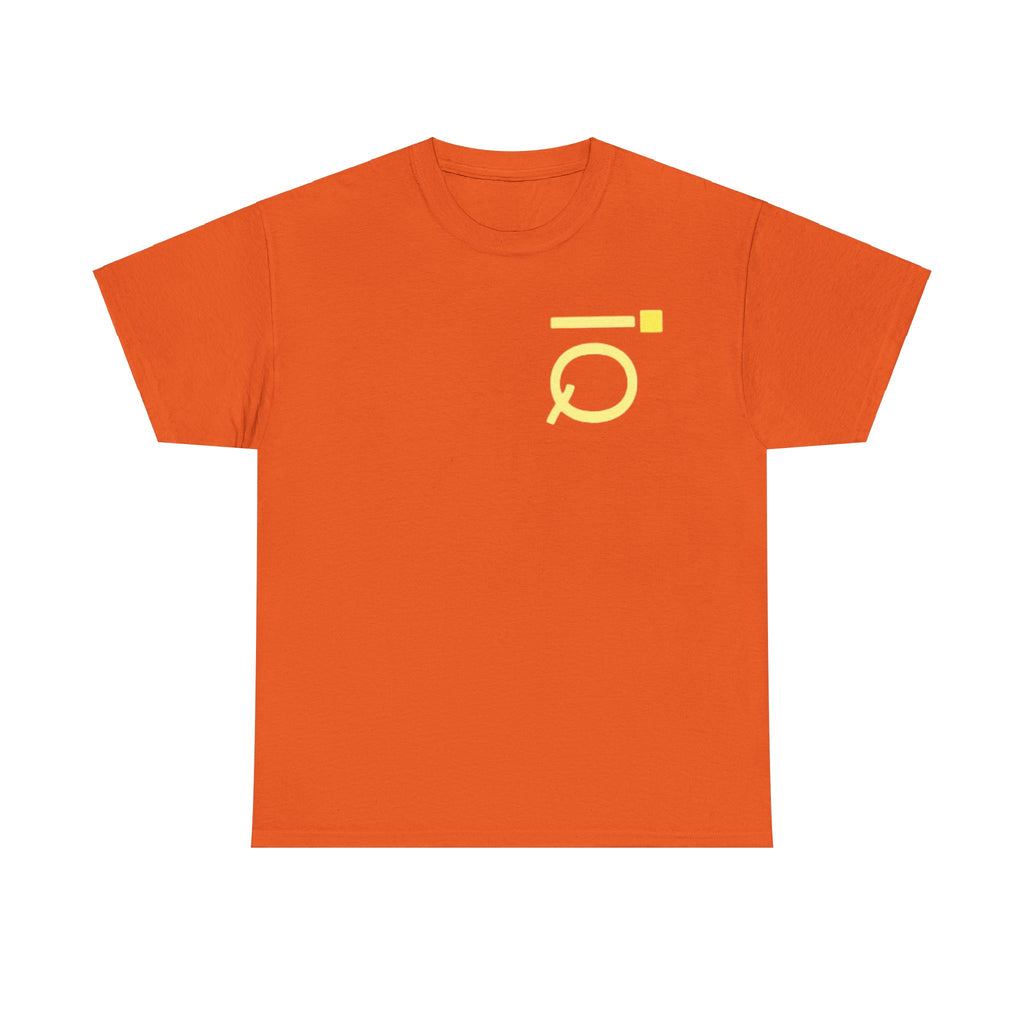 Unisex Heavy Cotton iQTee