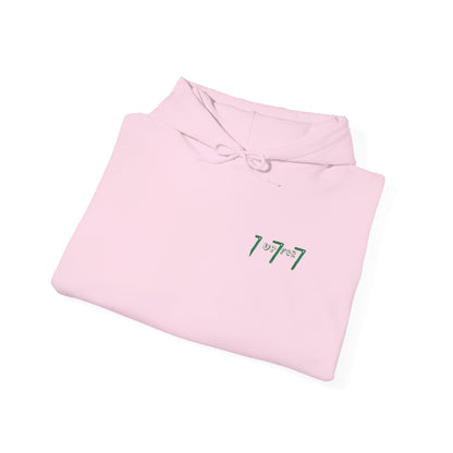 Hooded Sweatshirt - Up for 777