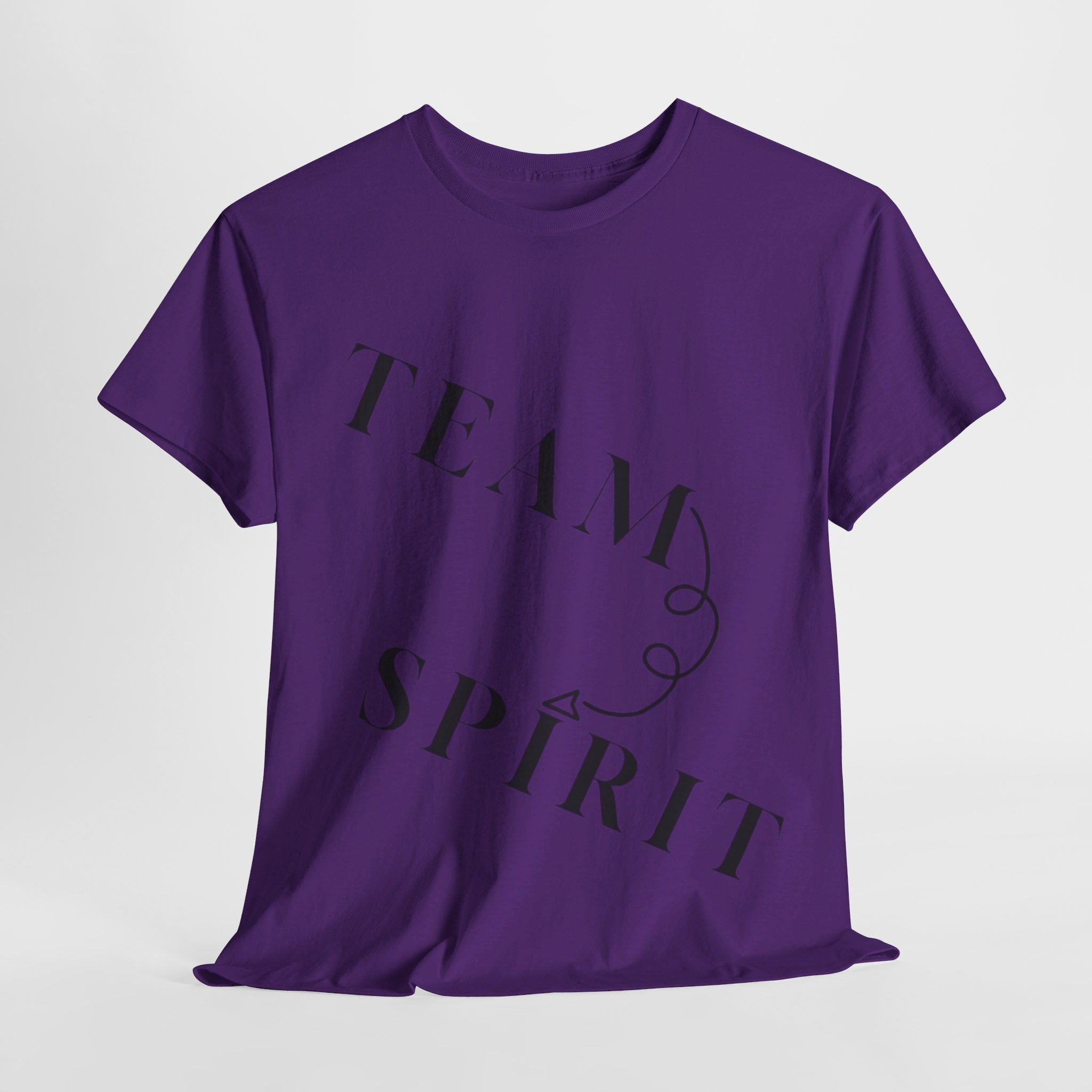 RCNSONS Unisex Heavy Cotton SPIRIT Tee