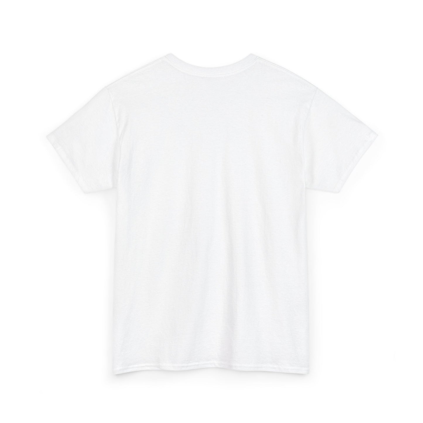 Unisex Heavy Cotton laundry Tee