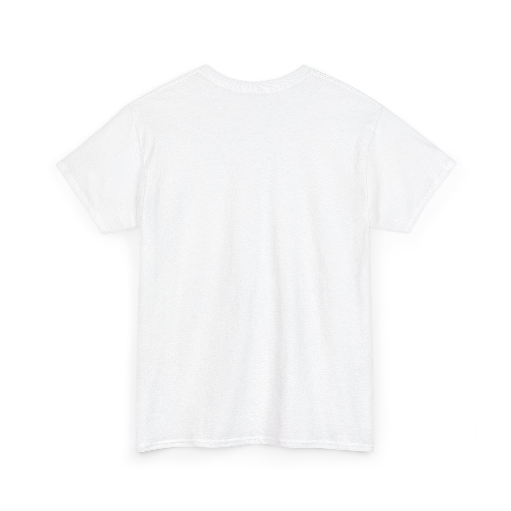 Unisex Heavy Cotton laundry Tee