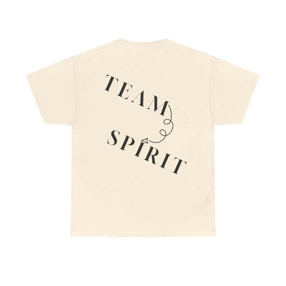 RCNSONS Unisex Heavy Cotton SPIRIT Tee