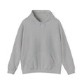 Unisex Heavy Blend™ Hooded Denim Sweatshirt