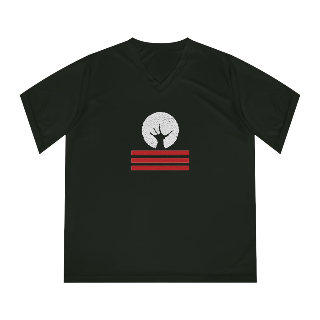 Women's Performance V-Neck T-Shirt with Unique Graphic Design, Sports Tee, Workout Top, Casual Athletic Wear, Gift for Active Lifestyle