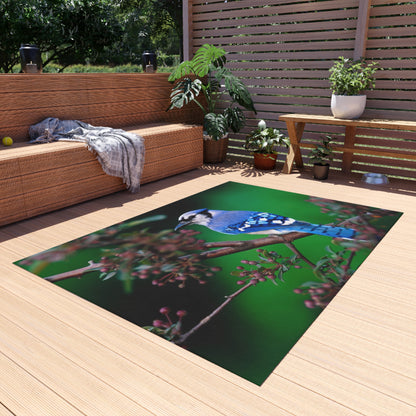 Outdoor Rug