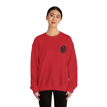 Cozy Unisex Crewneck Sweatshirt with Minimalist Design, Perfect for Casual Wear, Gifts, and Everyday Comfort
