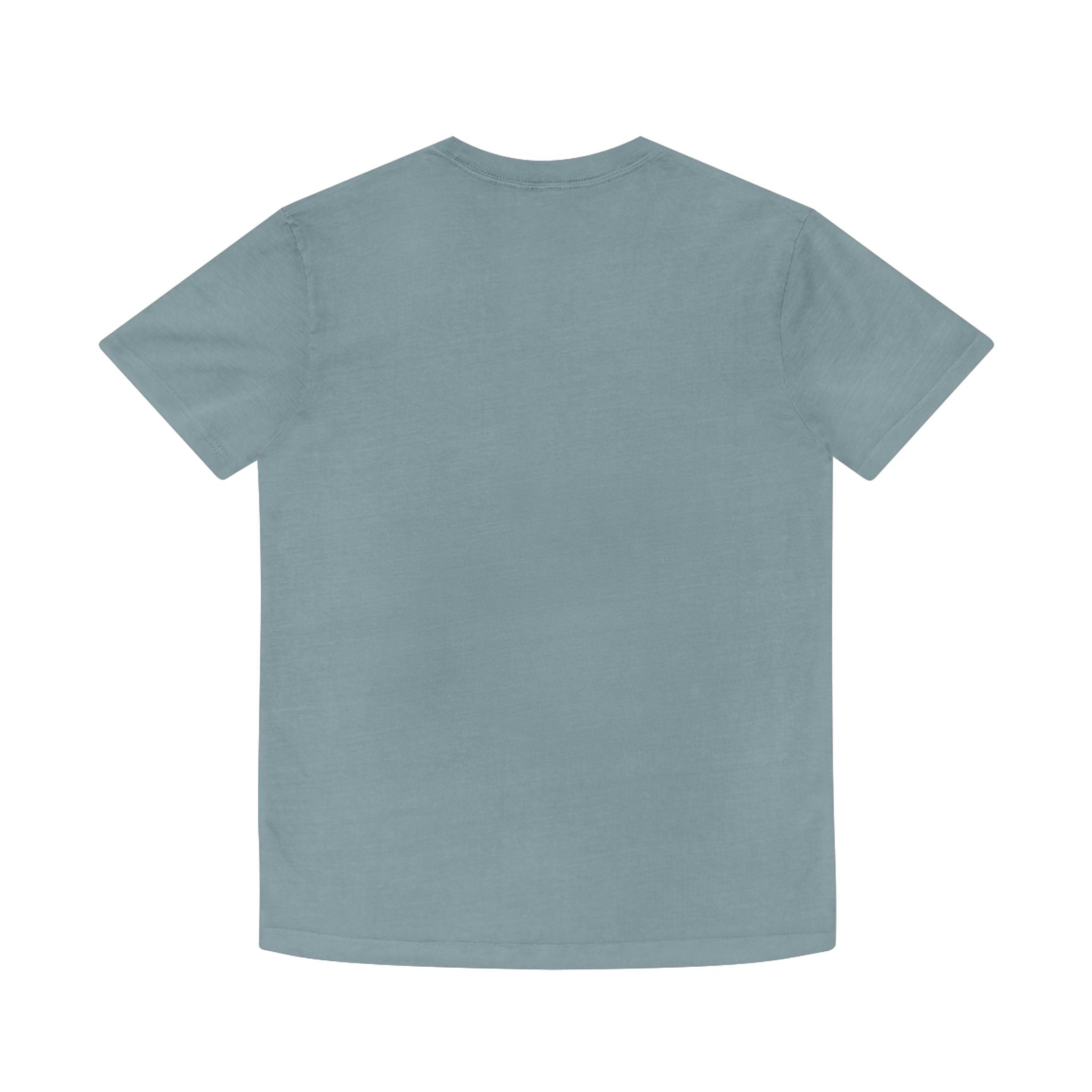 Sterne Faded Shirt - Vintage Style Unisex Tee