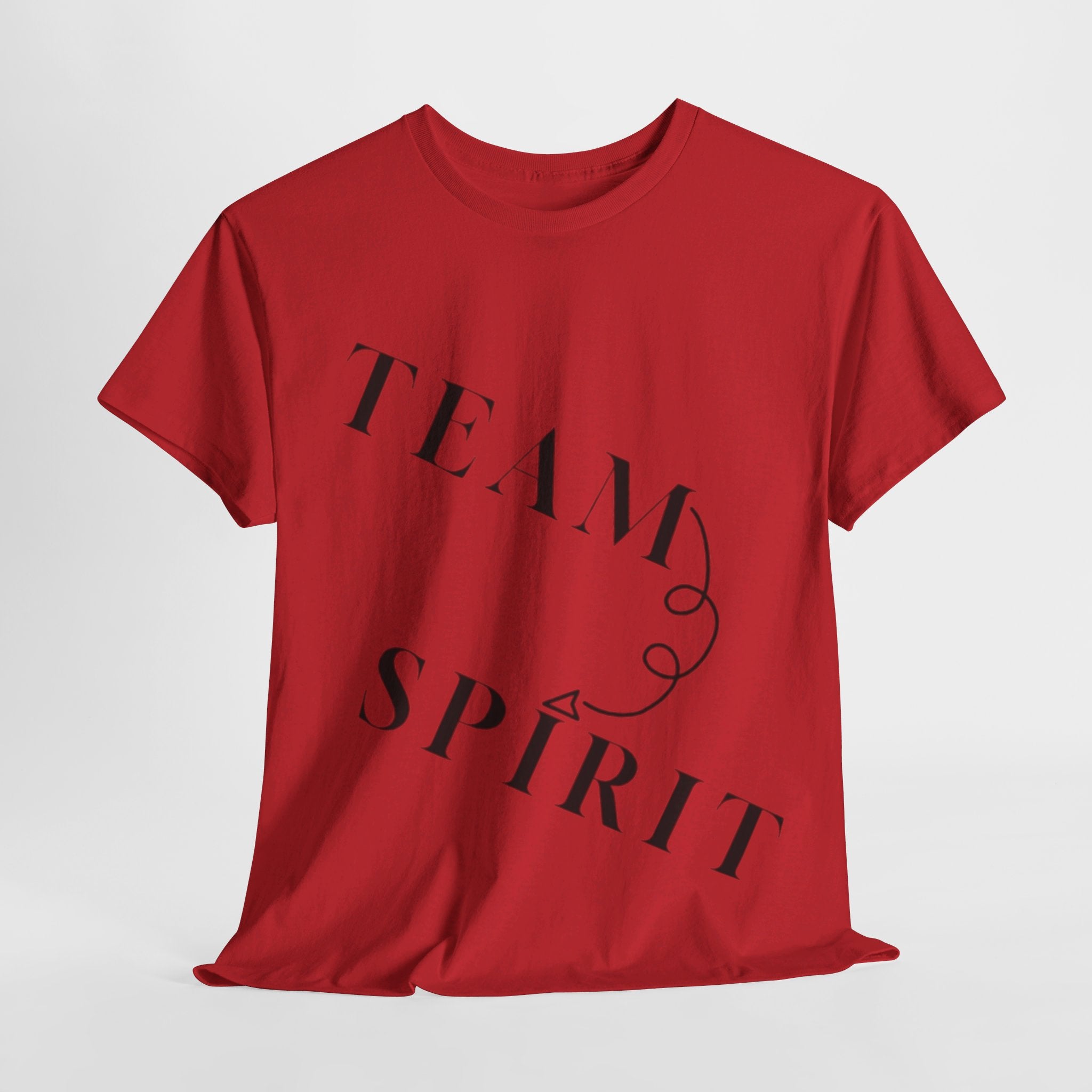 RCNSONS Unisex Heavy Cotton SPIRIT Tee