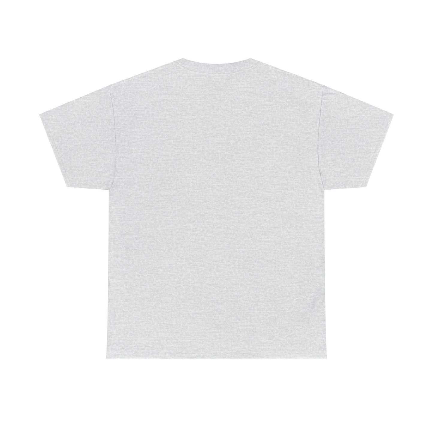 Unisex Heavy Cotton laundry Tee