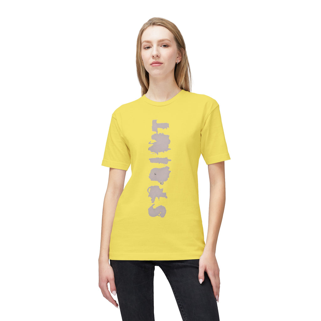 Unisex Midweight T-shirt, Made in US
