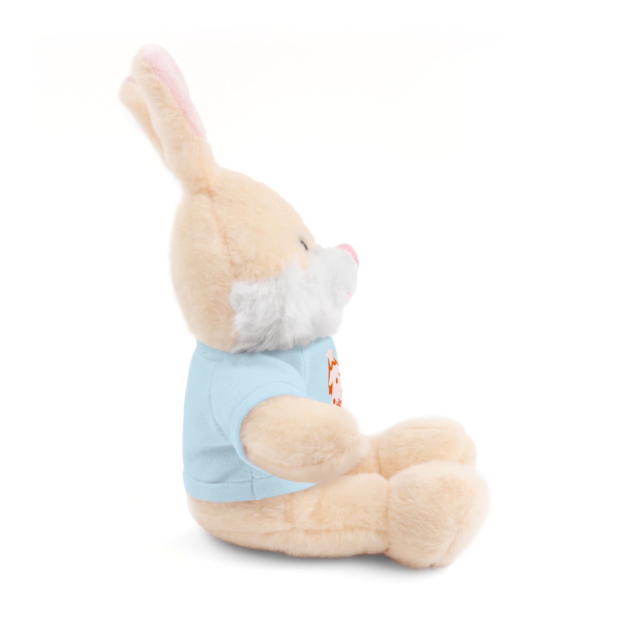 Stuffed Teddy Printify