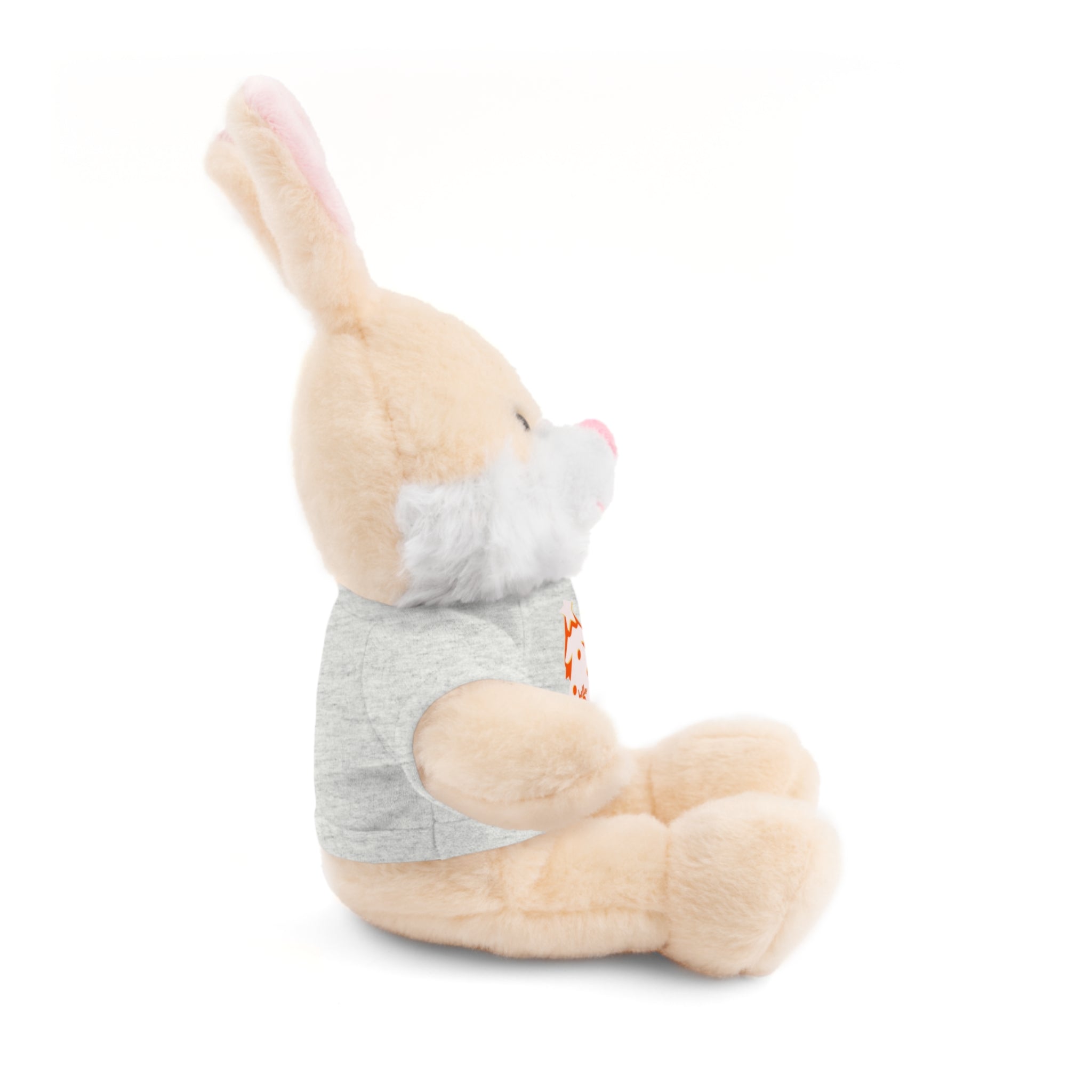 Stuffed Teddy Printify