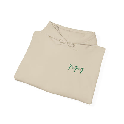 Hooded Sweatshirt - Up for 777