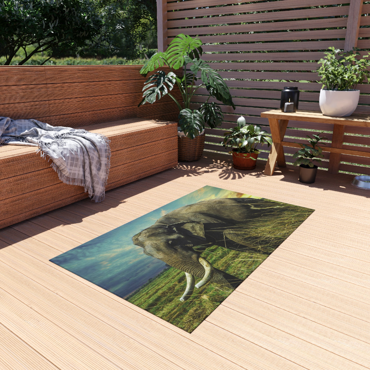 Outdoor Rug