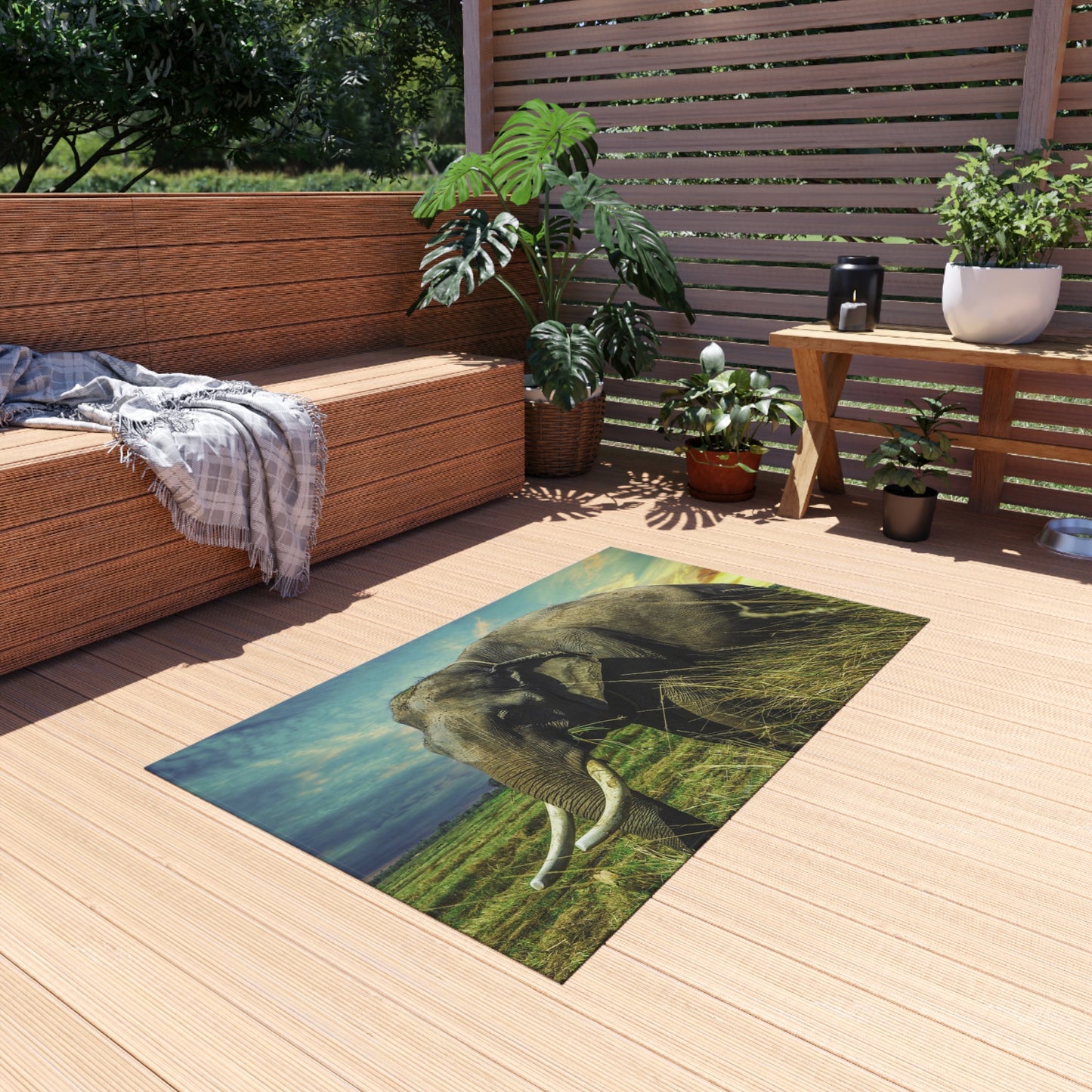 Outdoor Rug