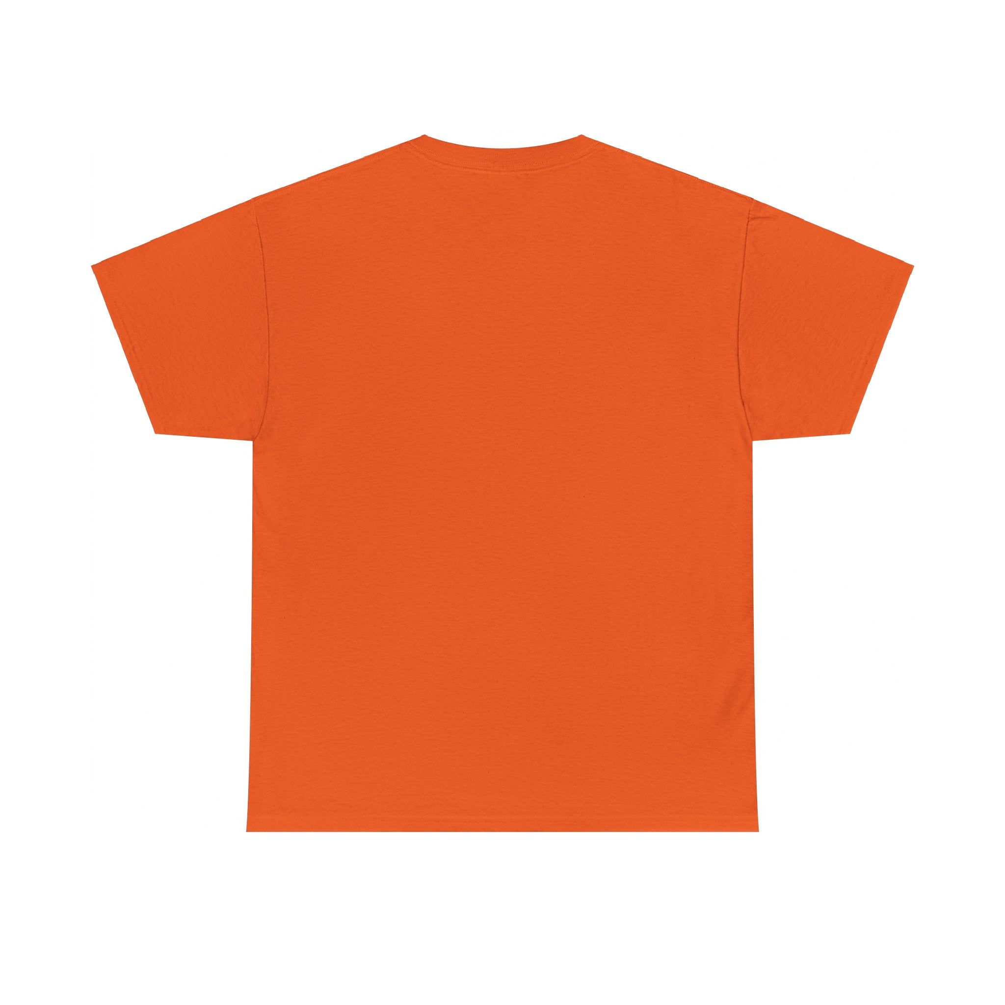 Unisex Heavy Cotton laundry Tee