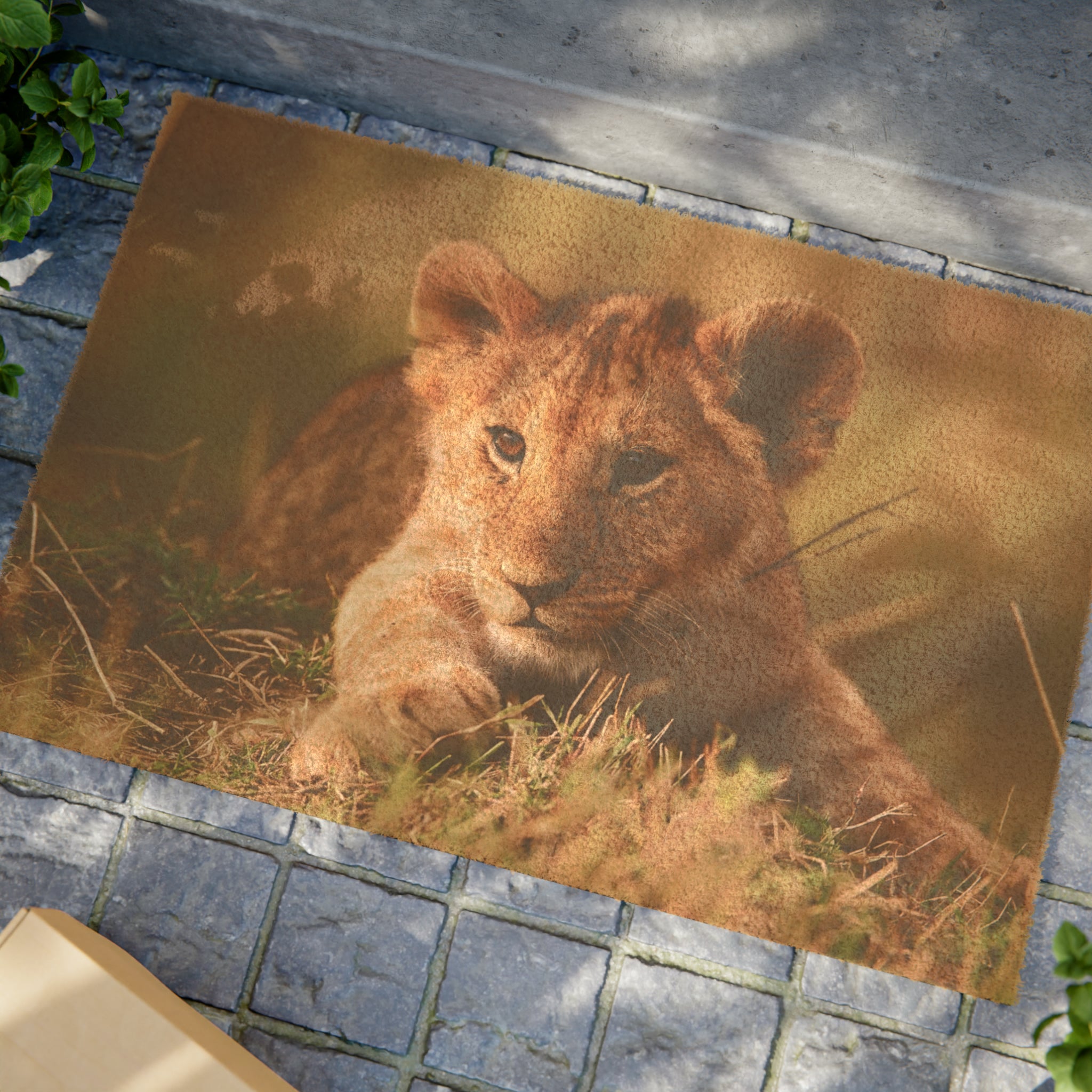 Doormat