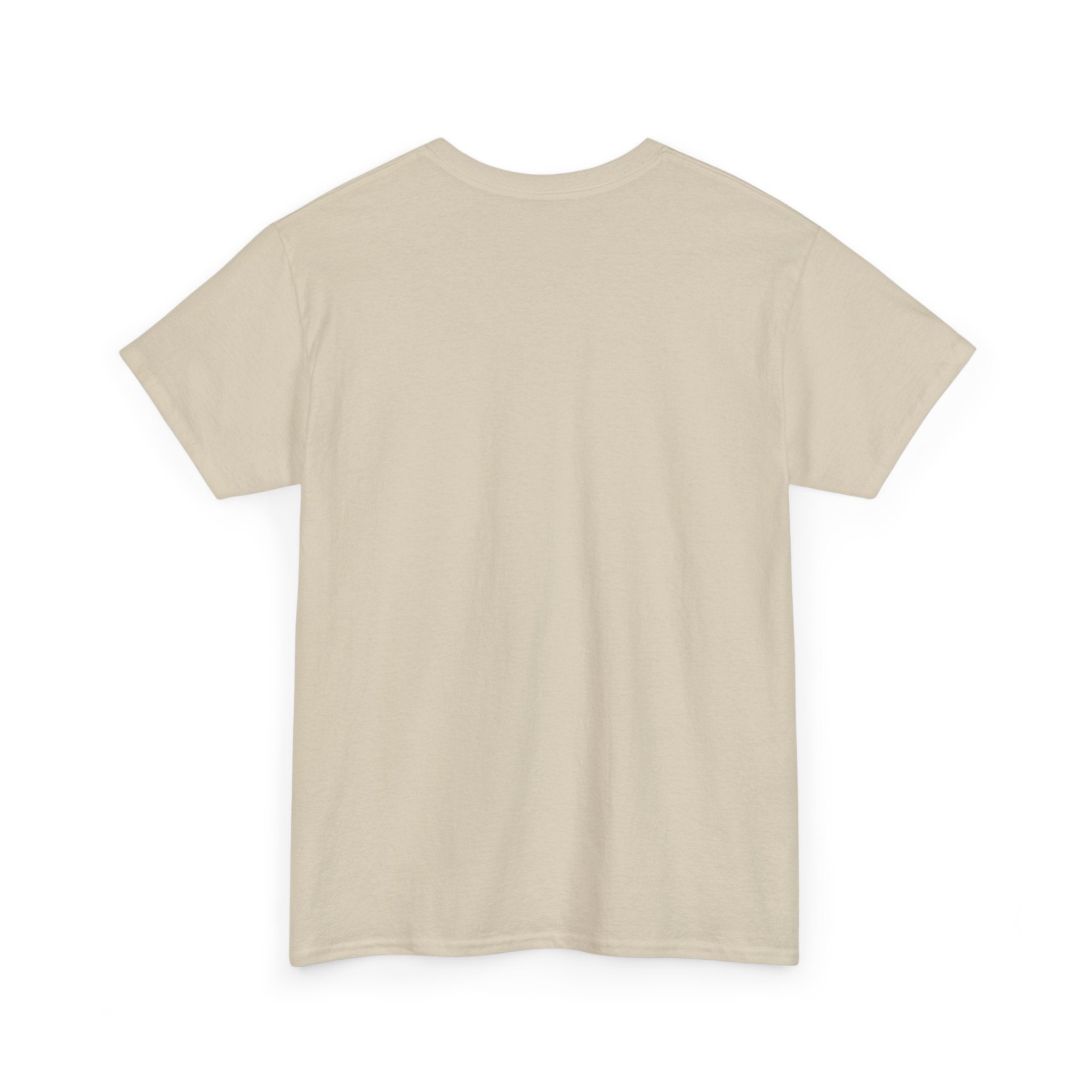 Unisex Heavy Cotton laundry Tee