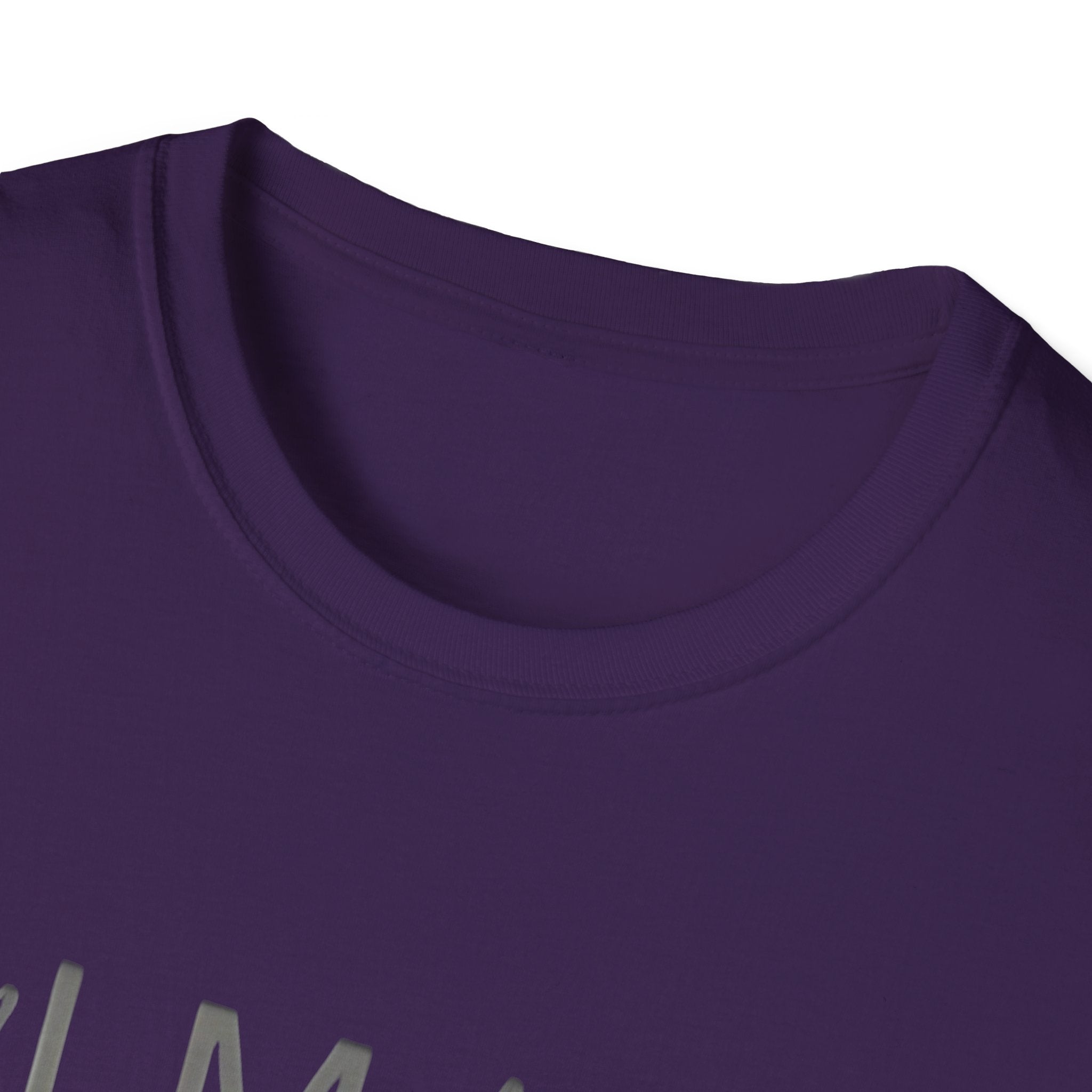 Unisex Softstyle  Pamares T-Shirt