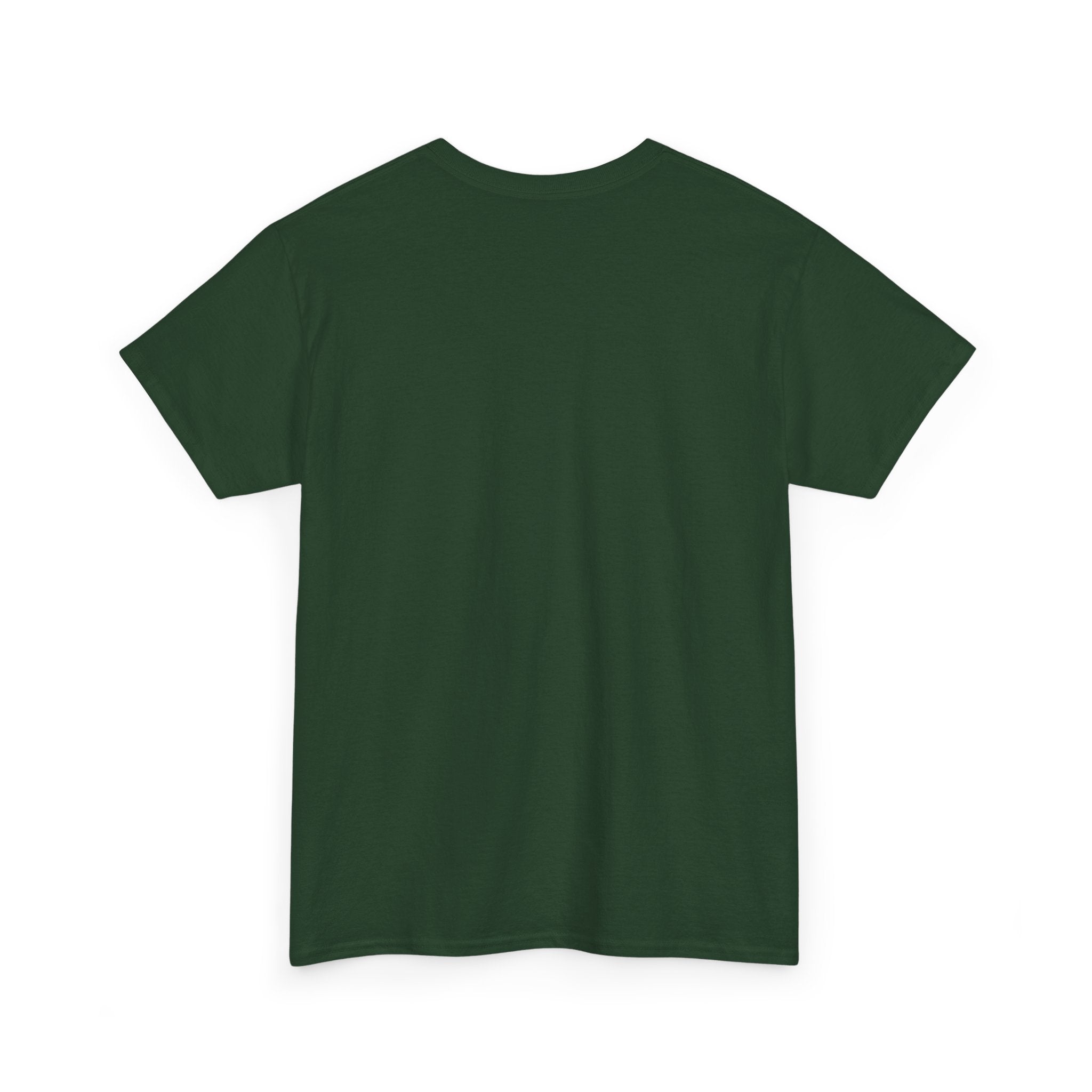 Unisex Heavy Cotton laundry Tee