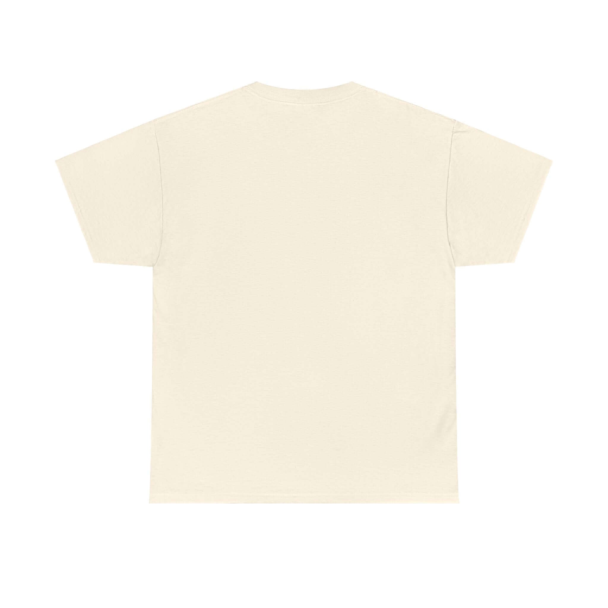 Unisex Heavy Cotton laundry Tee