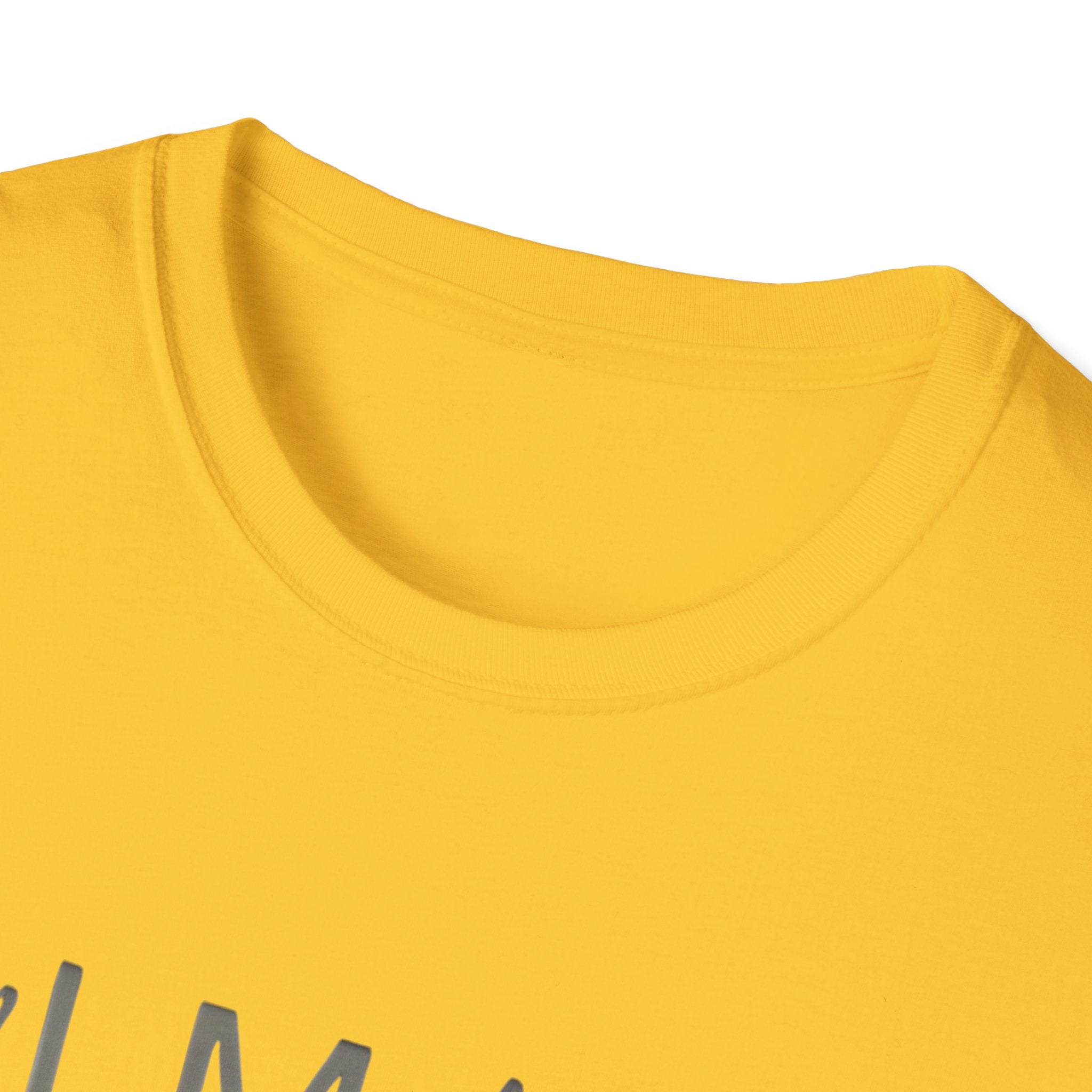 Unisex Softstyle  Pamares T-Shirt