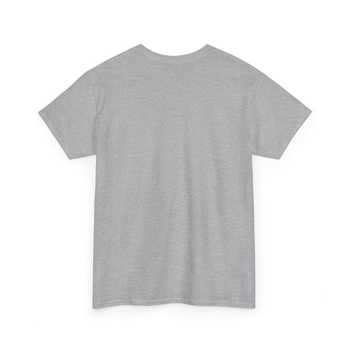 Unisex Heavy Cotton laundry Tee