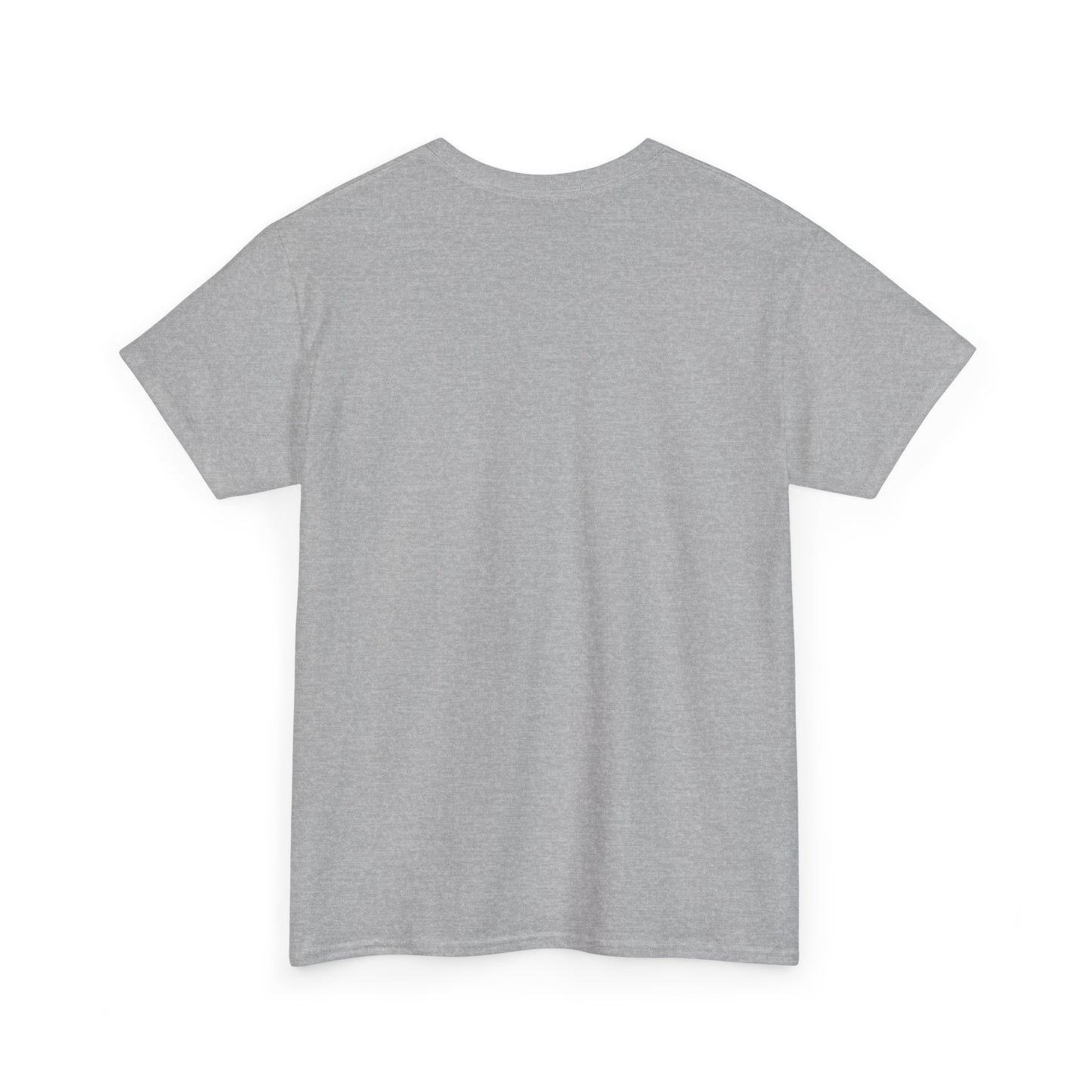 Unisex Heavy Cotton laundry Tee